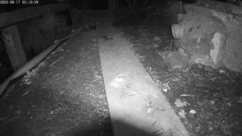 Ware muis spec