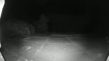 Gewone pad